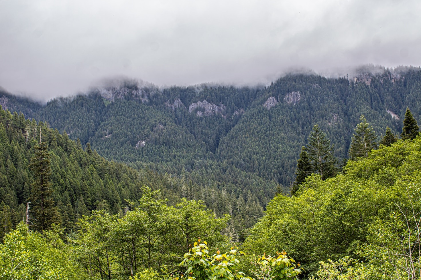 Mastering Light in Landscape Photography